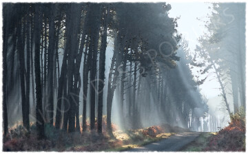 "Arjuzanx, autres lumières, autre regard avec Bertrand Bouet Willaumez"