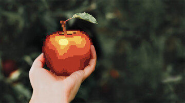 | Ouvert | Exposition Code alimentation