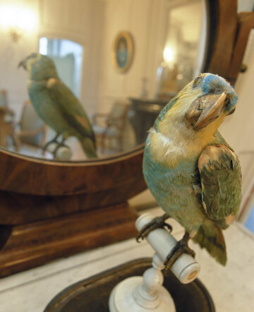 Animation pour jeune public : livret-jeux, quiz pour les enfants