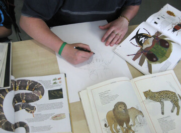 Dessins d’animaux imaginaire – Mathilde Magnan