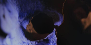 Exposer les arts et les sciences