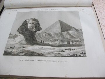 Les archives sortent des réserves