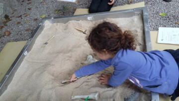 "atelier fouilles archéologiques" pour les enfants