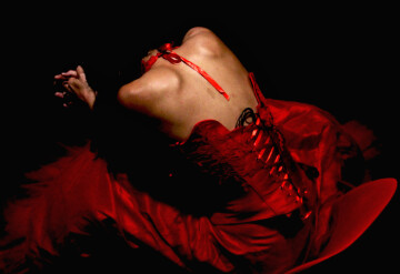 "AYAM" de Luc Tartar