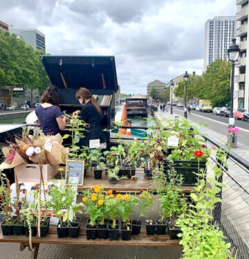 Atelier "Cultiver en pot des plantes belles et comestibles" avec Pascal Garbe