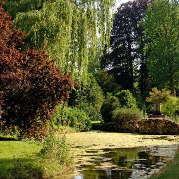 "Liber". Parcours de lectures