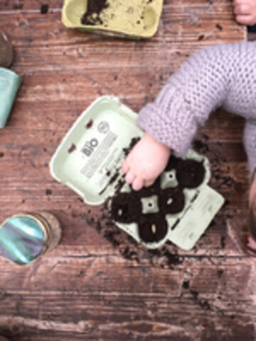 Atelier semis dans des boites d'œufs