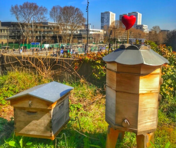 Découverte des abeilles de la REcyclerie