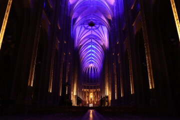 Cathédrale Sainte-Croix - Orléans (45)