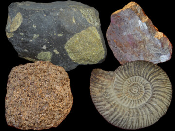 Ce que disent les pierres