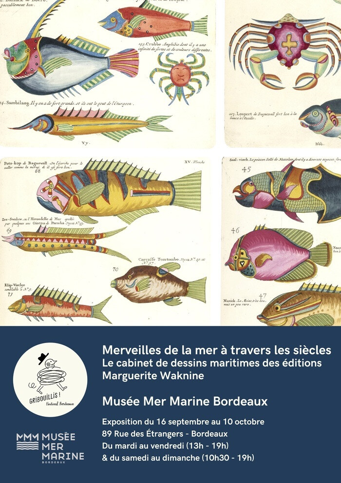 Merveilles de la Mer à travers les siècles - Le cabinet de dessins maritimes des Éditions Marguerite Waknine