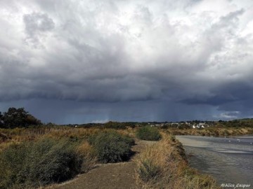 Visite "La météo du paludier"
