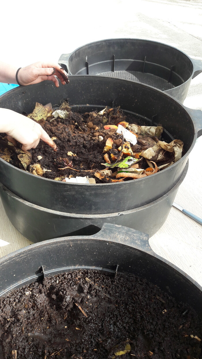 Fabriquer son lombricomposteur avec Au Ras du Sol