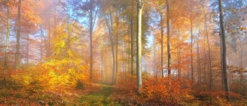 Atelier Animadoc : Petits contes des Pyrénées ... recyclés !