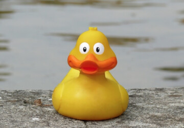 A la recherche des canards perdus, cartographie 1