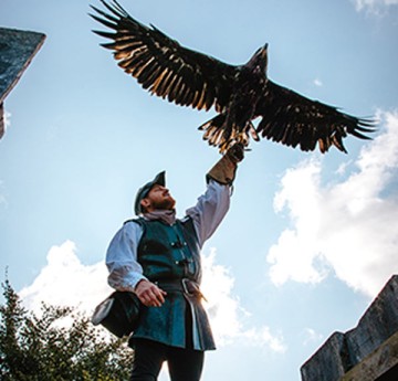 PUY DU FOU + CINÉSCÉNIE