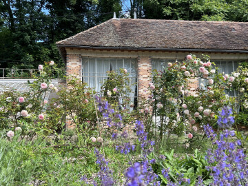"Dedans Dehors" Exposition Plein Air de Murielle Joubert