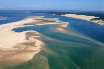 Au coeur de la Nature au bassin d'Arcachon