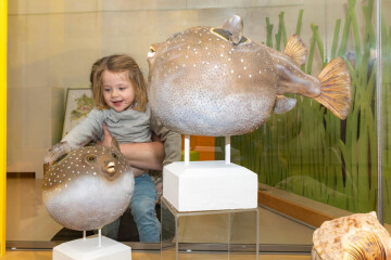 Les petits curieux au Muséum