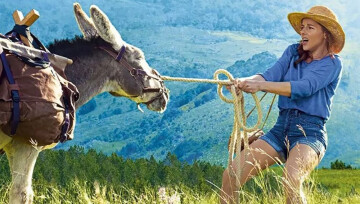 Cinéma en plein air