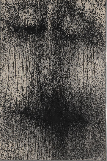 LA PASSION EN NOIR & Sébastien LE ROY