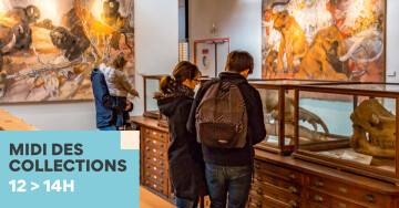 Midi des Collections