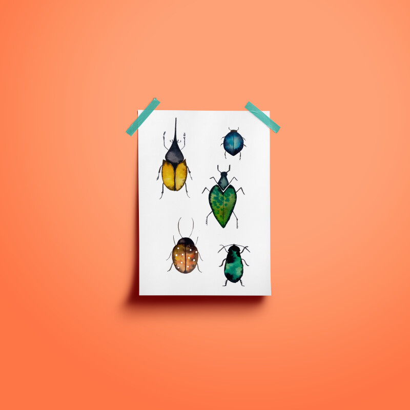 Atelier aquarelle "Scarabées et papillons" avec l'illustratrice Cloük