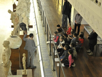 Animation jeunes publics : Les 4 sens