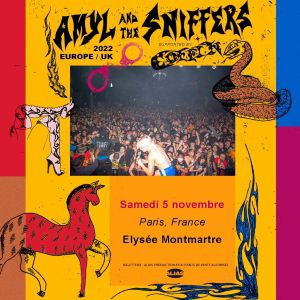 AMYL &amp; THE SNIFFERS