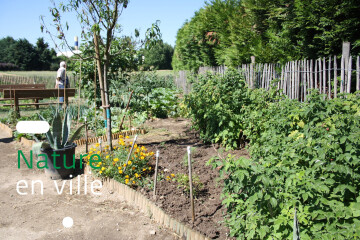 « Nature en ville »