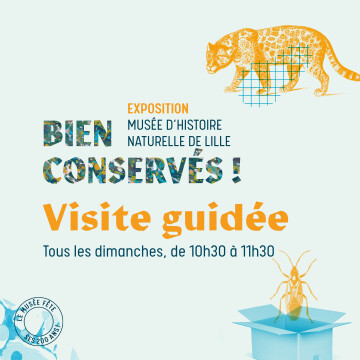 Visite guidée / Expo "Bien conservés ! 200 ans de collections"
