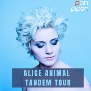 Alice Animal / Tandem Tour