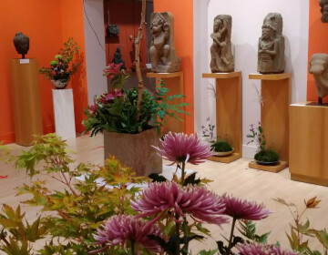 « Des Printemps et des Automnes » : exposition d'Ikebana