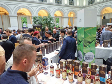 Bordeaux Rhum Festival