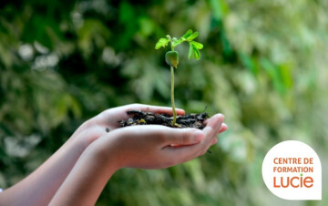 Démarche environnementale et écogestes