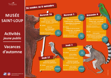 « Croque moi… un animal » avec Mathias Friman