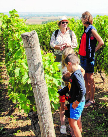 "Vis ma vie de vigneron" en Pays Loudunais