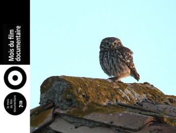 "Fort Carac'Terre" de Hugo et Nathan Braconnier