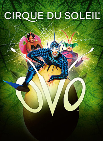 CIRQUE DU SOLEIL - OVO
