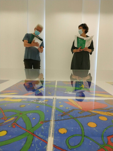 "Départ pour l'Enfance, les albums pour la jeunesse de Tomi Ungerer"