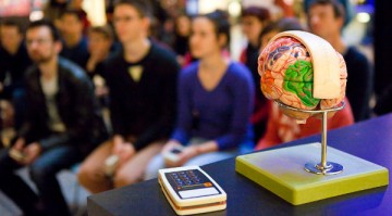 Quiz cerveau !