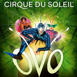 CIRQUE DU SOLEIL