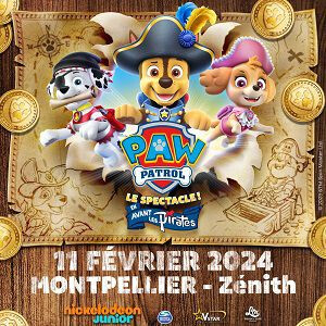 PAT' PATROUILLE - LE SPECTACLE !