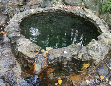 Journée des forêts à Gambaiseuil