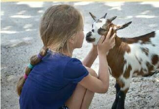 "Panorama'venture" et " la colo des bouts de choux"