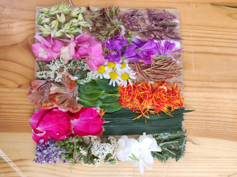 Atelier adulte Ferme urbaine : Récup'Art "Tapis végétal"