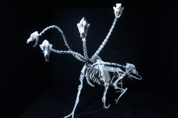 Art Orienté Objet - "Je suis contre !"