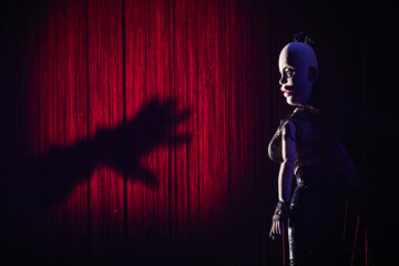 "Hen" - temps fort Play mobile