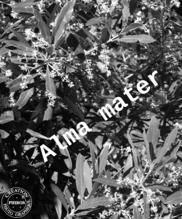 « Au cœur de la vie ! »