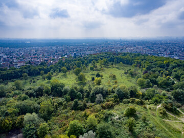 « Balade à la découverte des arbres du parc des Beaumonts » par Le sens de l’humus